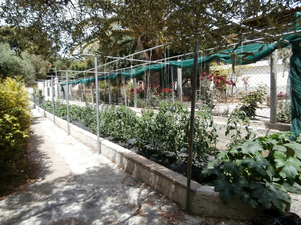 Apartament Olive House Elia Nikitis Zewnętrze zdjęcie
