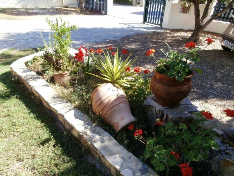 Apartament Olive House Elia Nikitis Zewnętrze zdjęcie